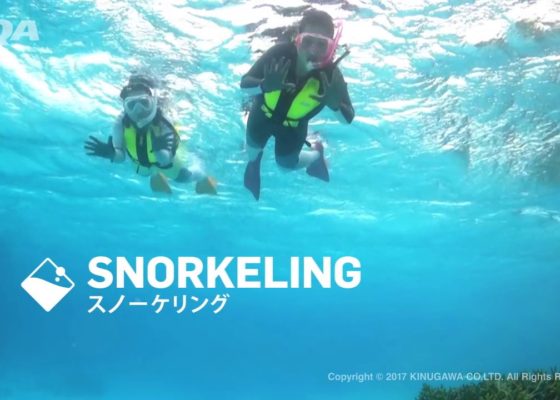 How to Snorkeling